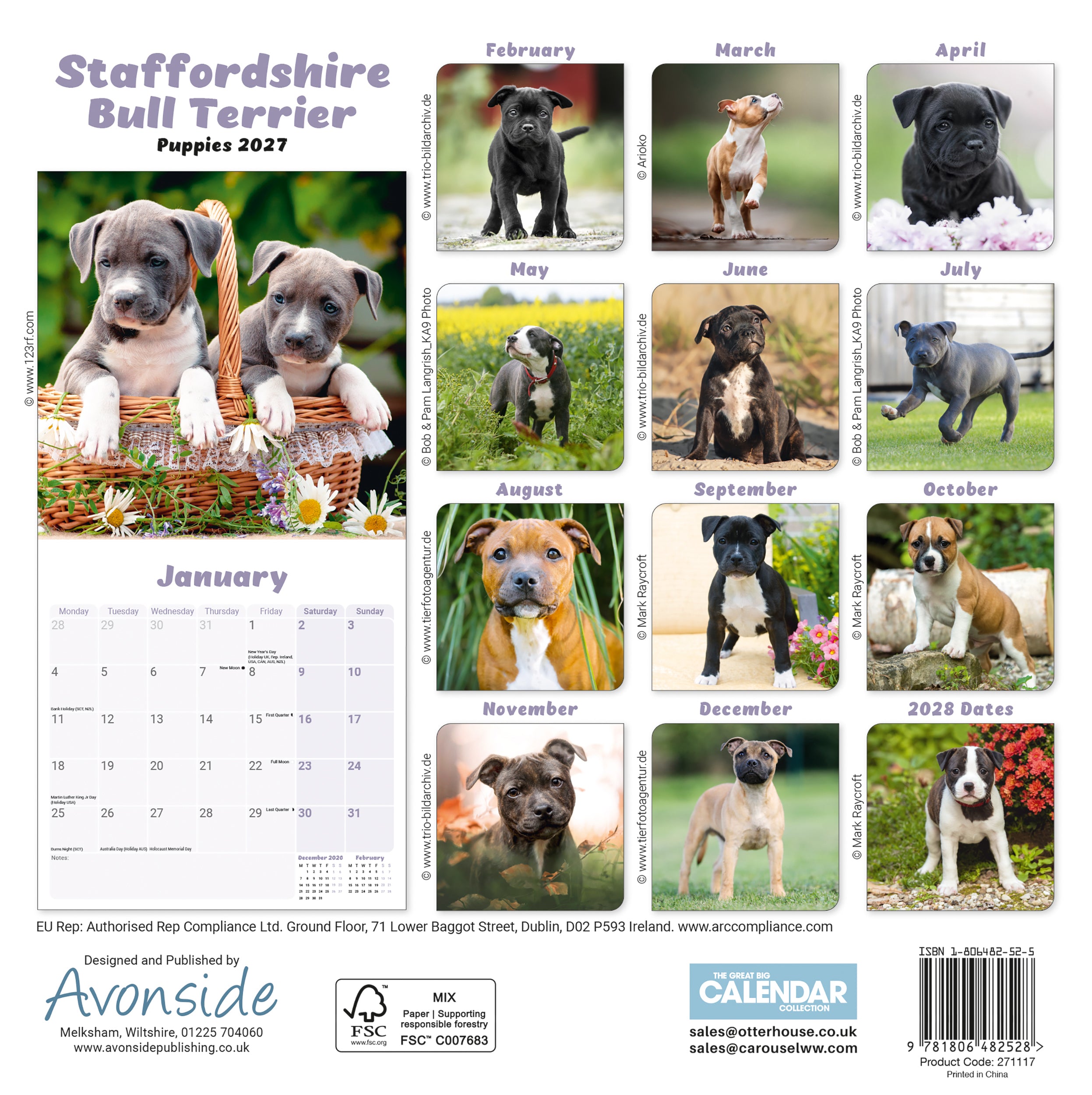 otter-house-staff-bull-terrier-mini-wandkalender-2027-hunde image 2