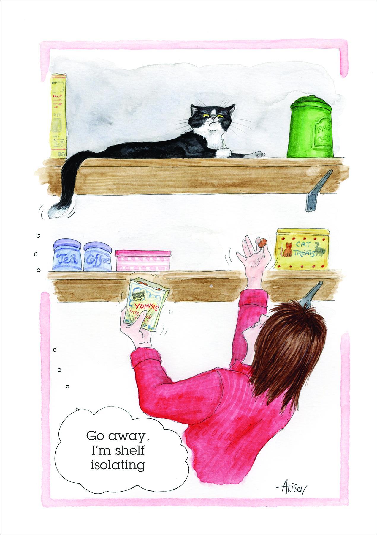 alison-s-animals-gru-karte-shelf-isolating-150x210mm-faultier image 1