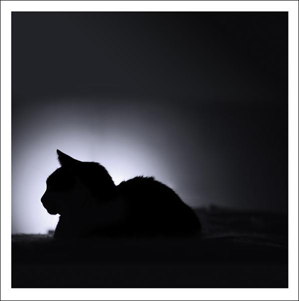 otter-house-snozzle-my-dear-friend-grusskarte-splimple-trauer image 1