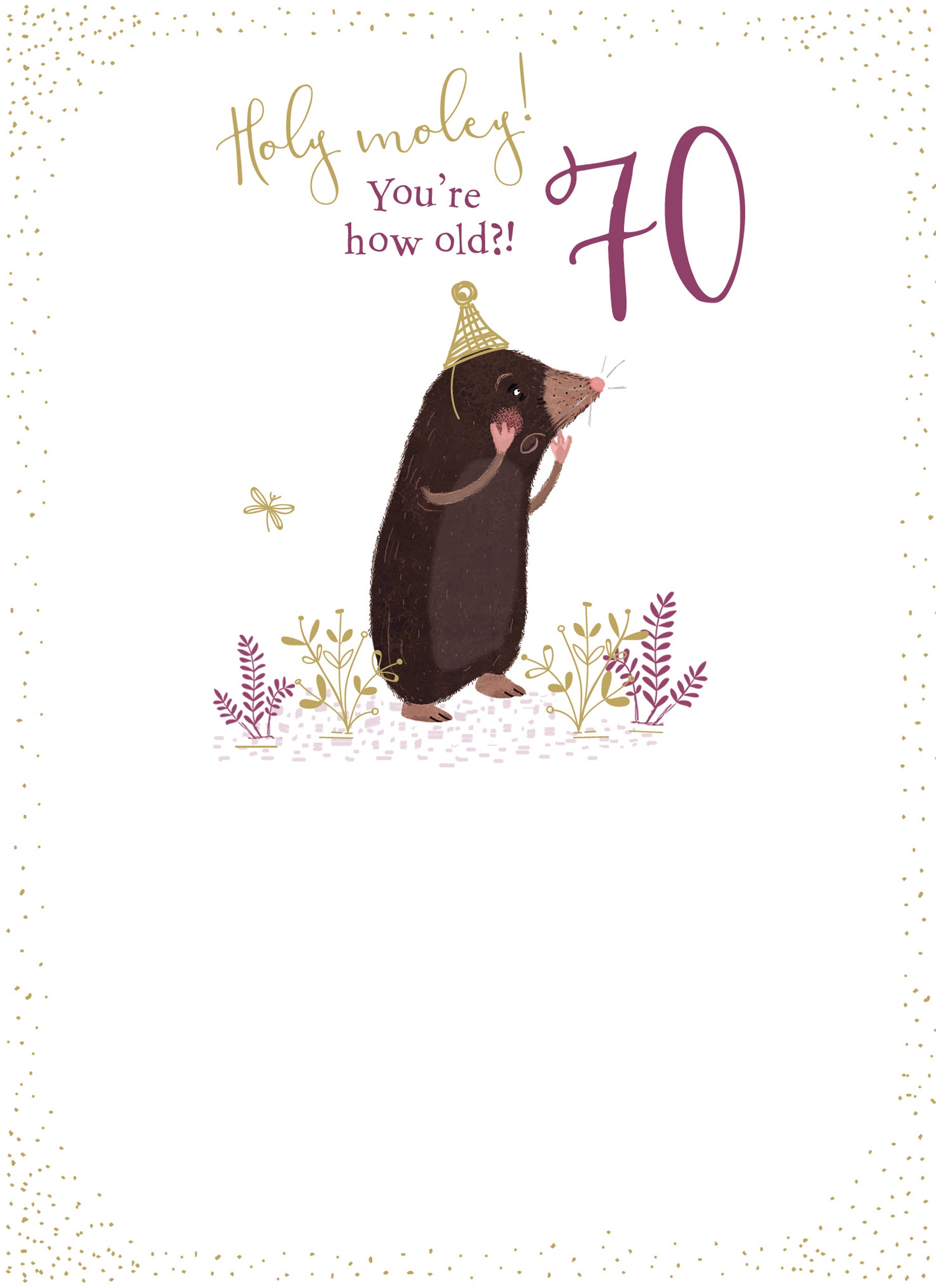otter-house-age-70-holy-moley-geburtstagskarte-zahl-70 image 1