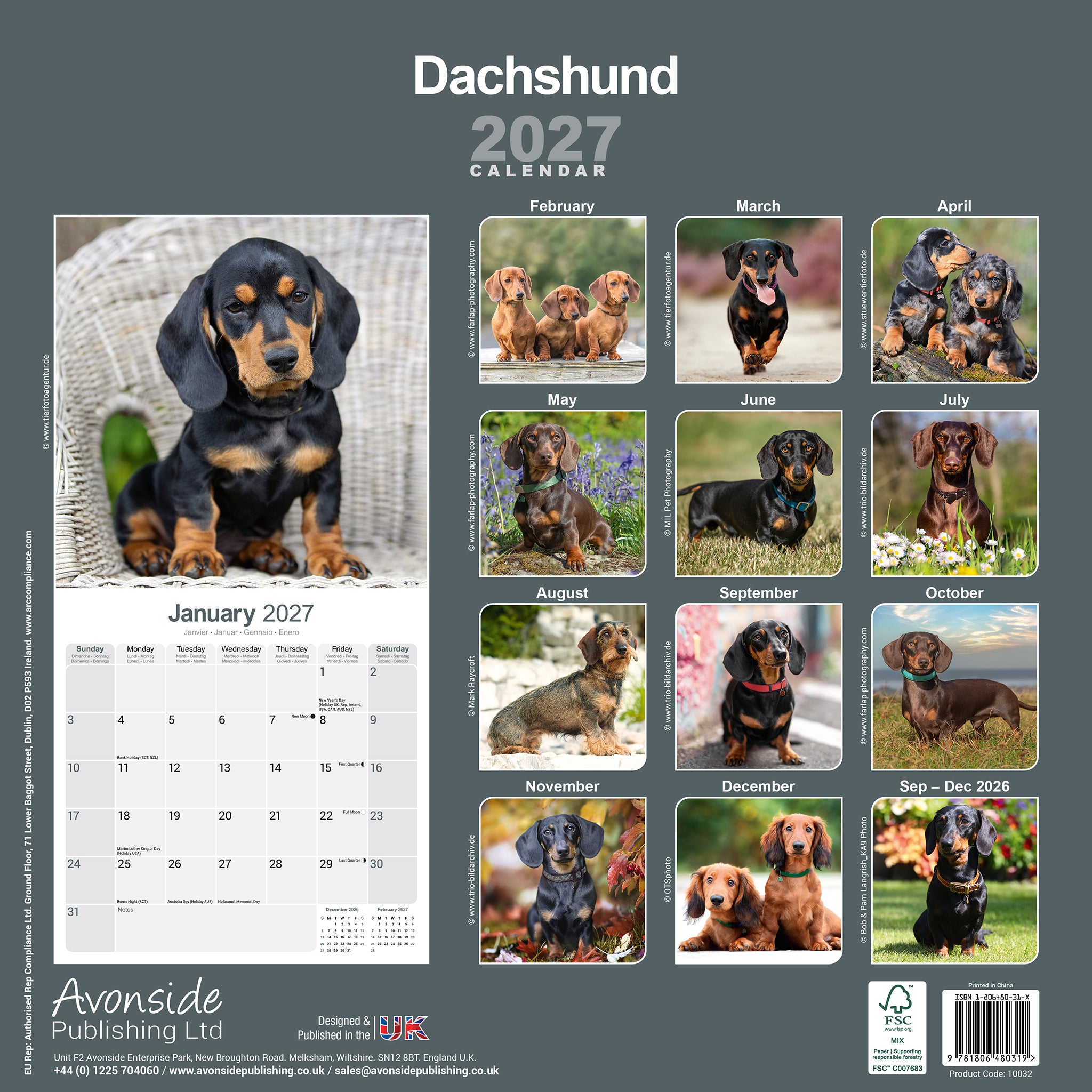otter-house-dackel-wandkalender-2027-hunde image 2