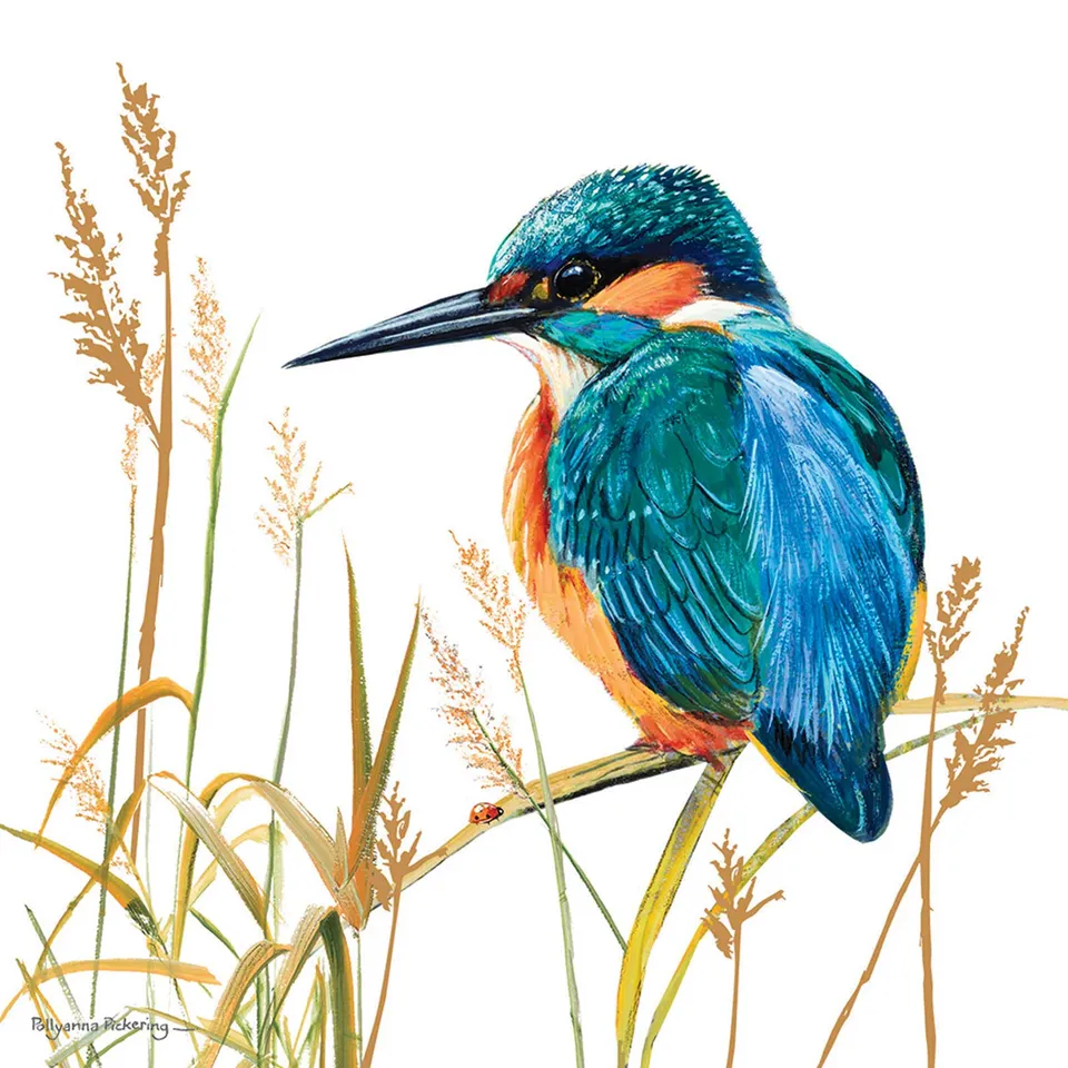 otter-house-pollyanna-pickering-kingfisher-gru-karte-eisvogel image 1