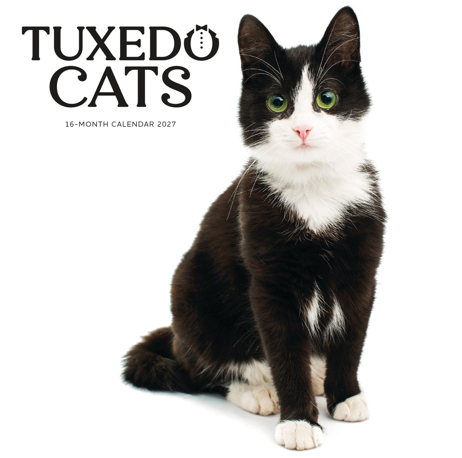 otter-house-tuxedo-cats-wandkalender-2027-katzen image 1