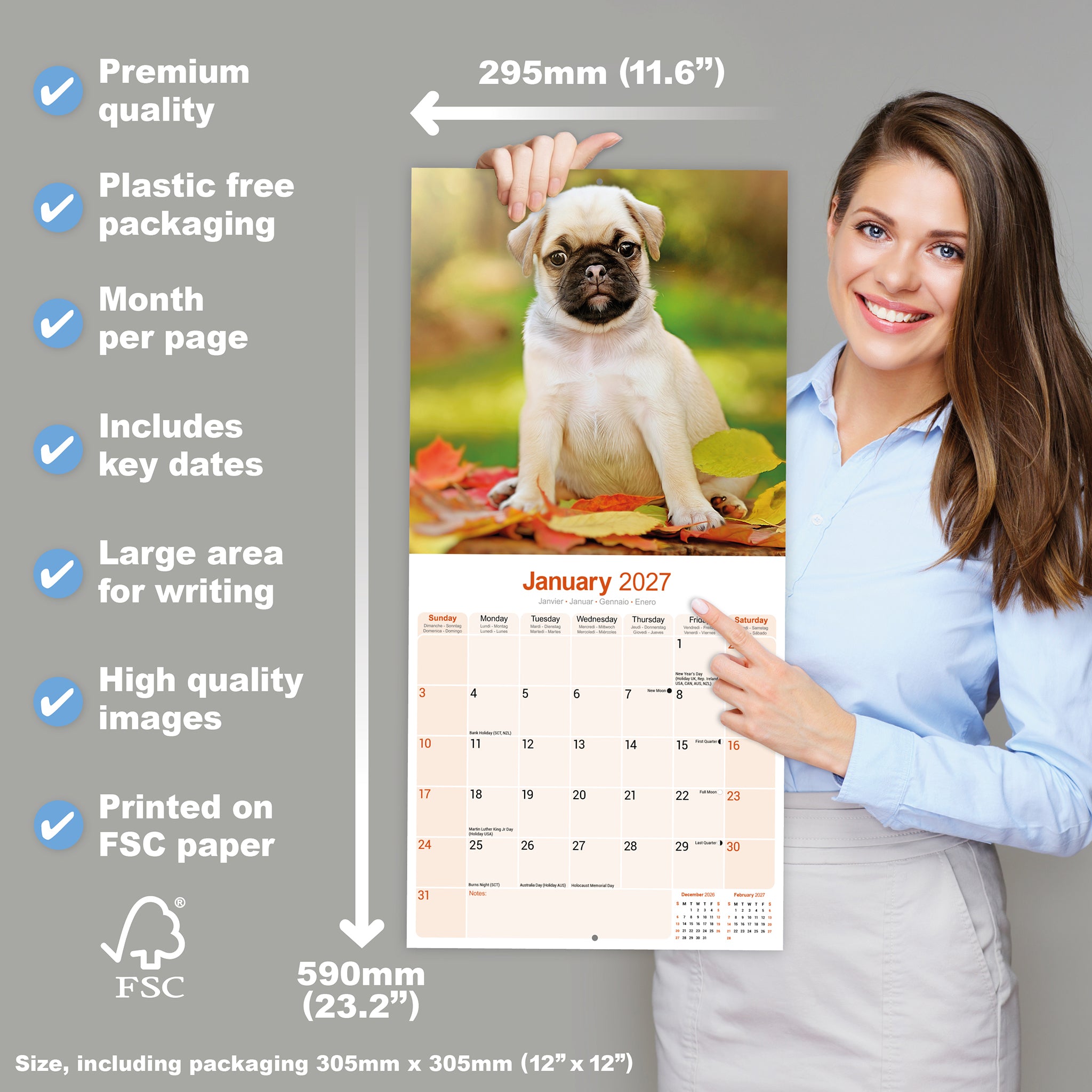 otter-house-pug-wandkalender-2027-mops-hundekalender image 4
