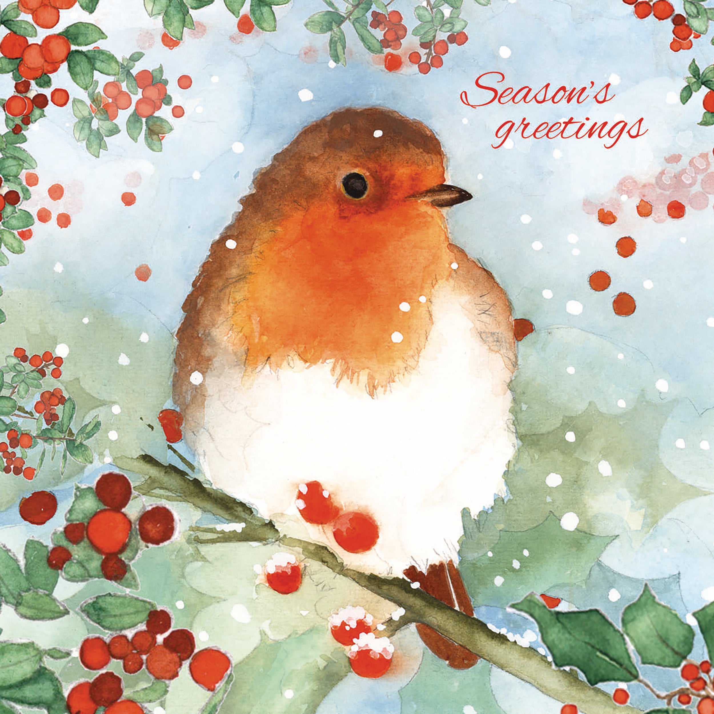 otter-house-watercolour-robin-weihnachtskarten-set-rotkehlchen image 1