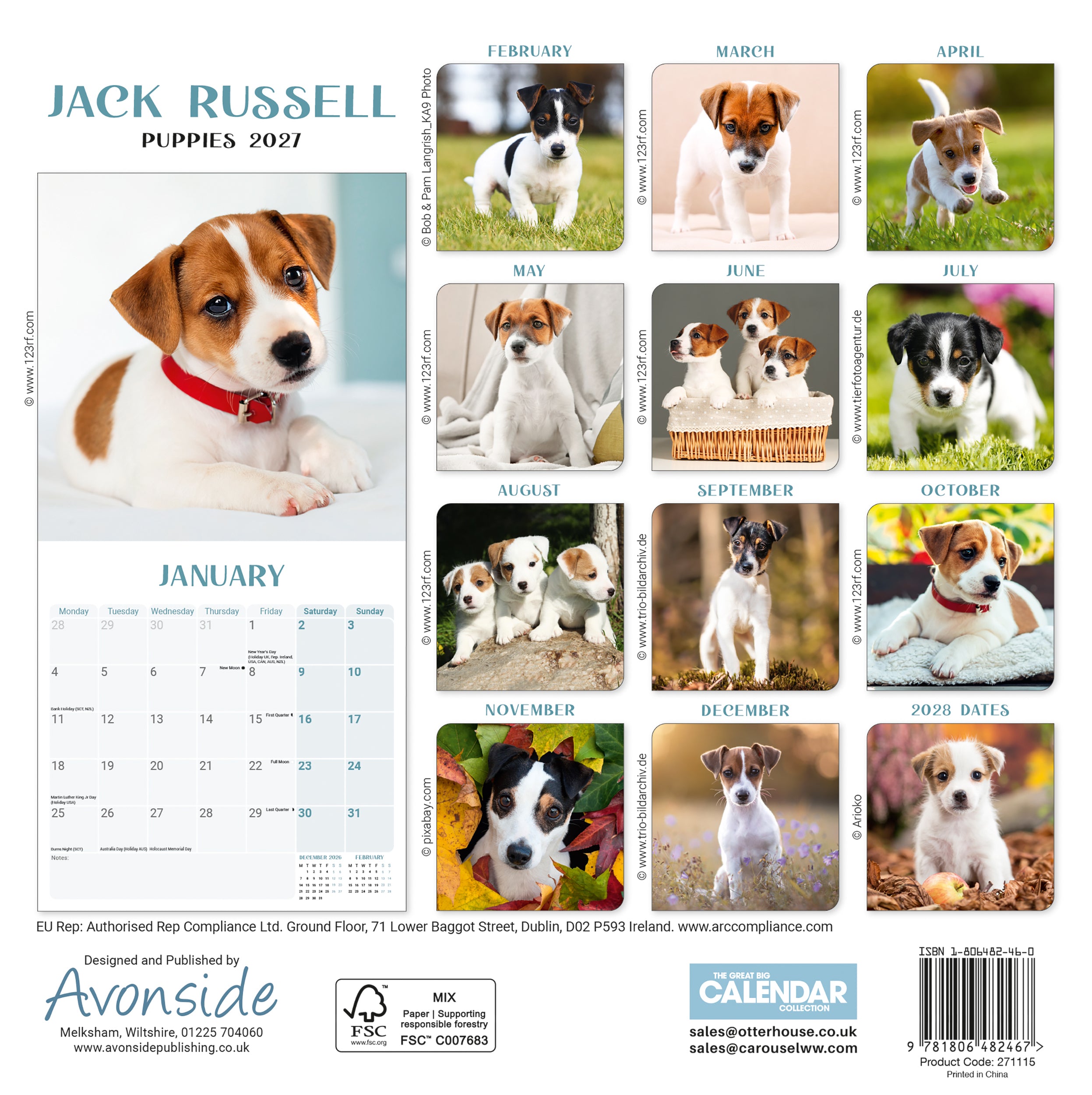 otter-house-jack-russell-puppies-mini-kalender-2027-hunde image 2