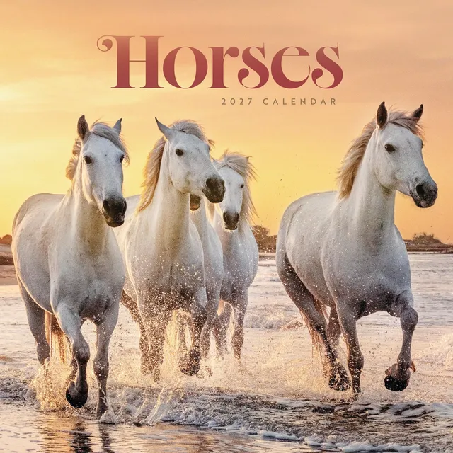otter-house-horses-wandkalender-2027-pferde-wiro image 1