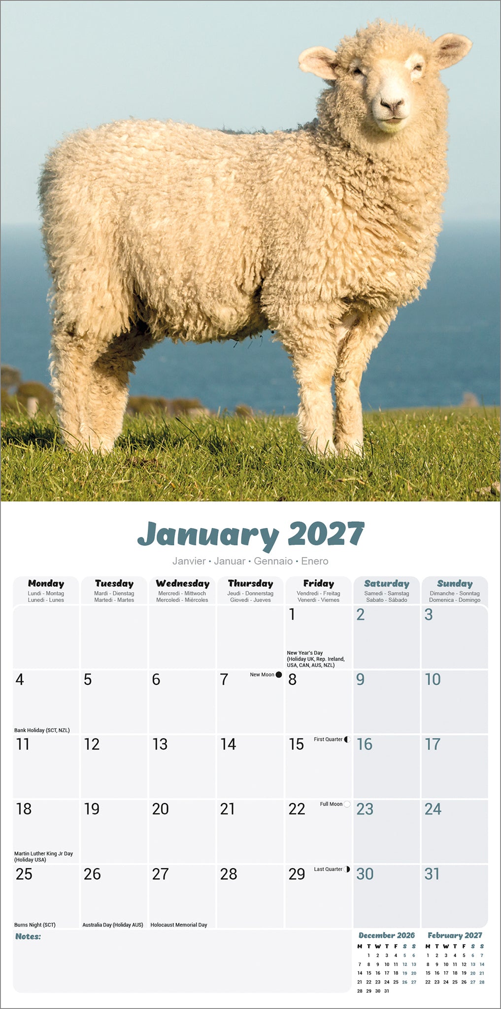 otter-house-sheep-wall-calendar-2027-wandkalender-schafe image 3