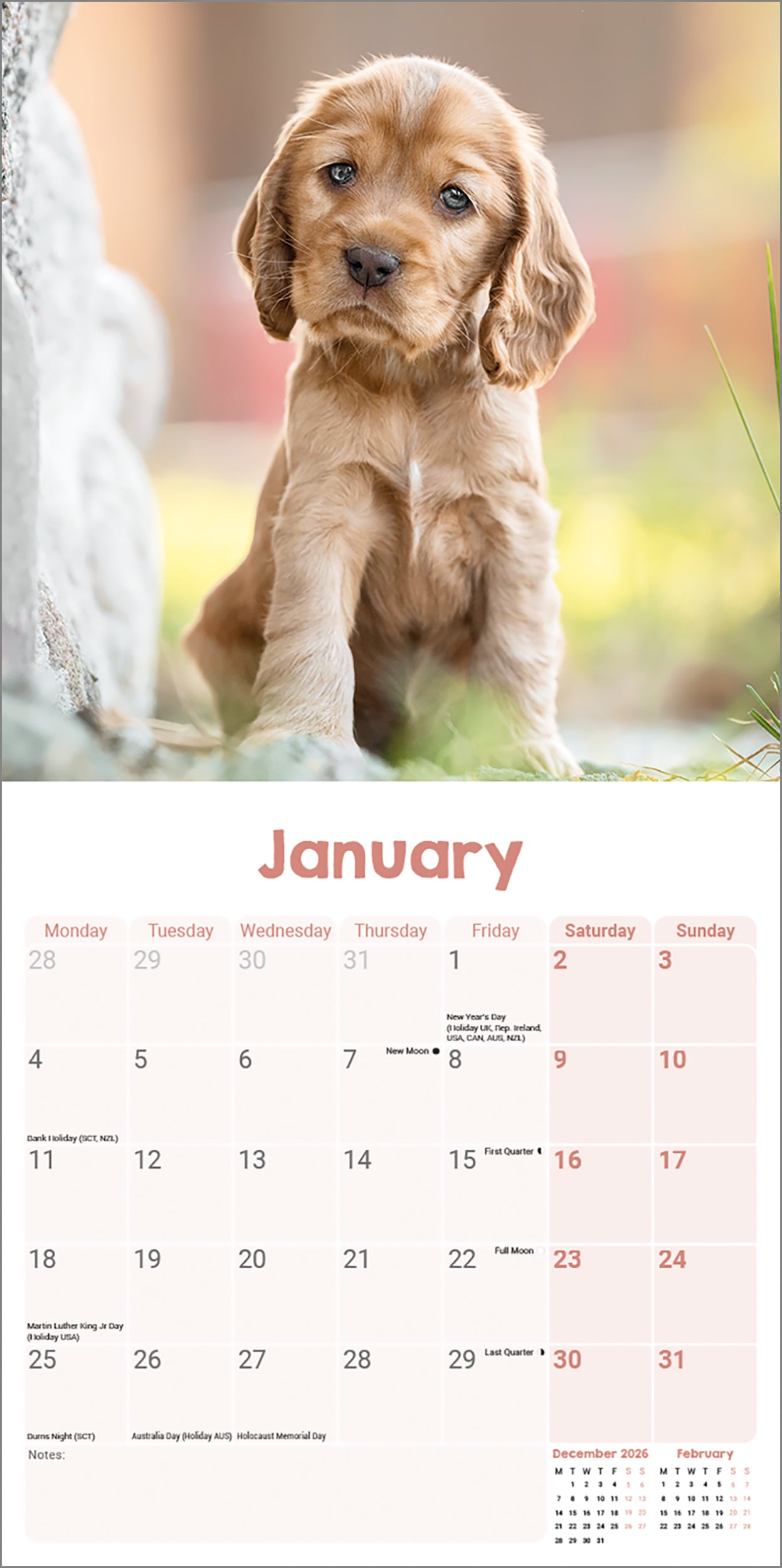 otter-house-english-cocker-spaniel-puppies-mini-kalender-2027 image 3