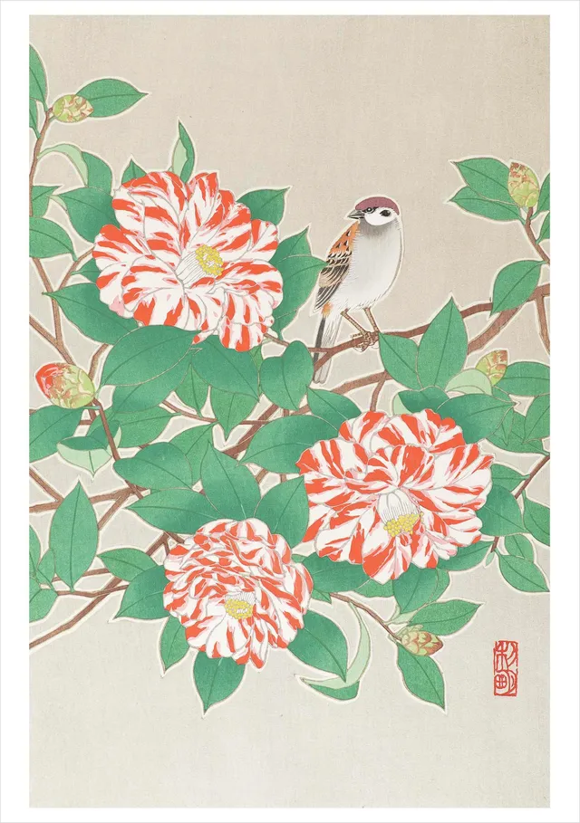 pomegranate-blank-notecards-sparrow-camellia-klappkarte-einzeln image 1