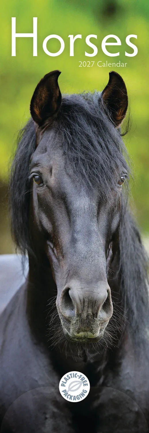 otter-house-horses-streifenkalender-2027-pferdebilder-schmal image 1