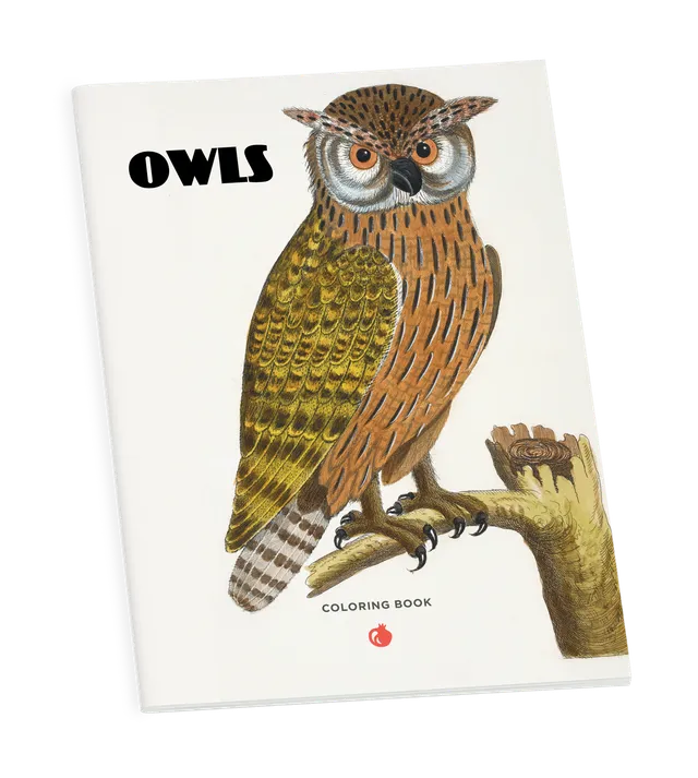 pomegranate-owls-malbuch-eulen-ausmalbuch-v-gel image 1