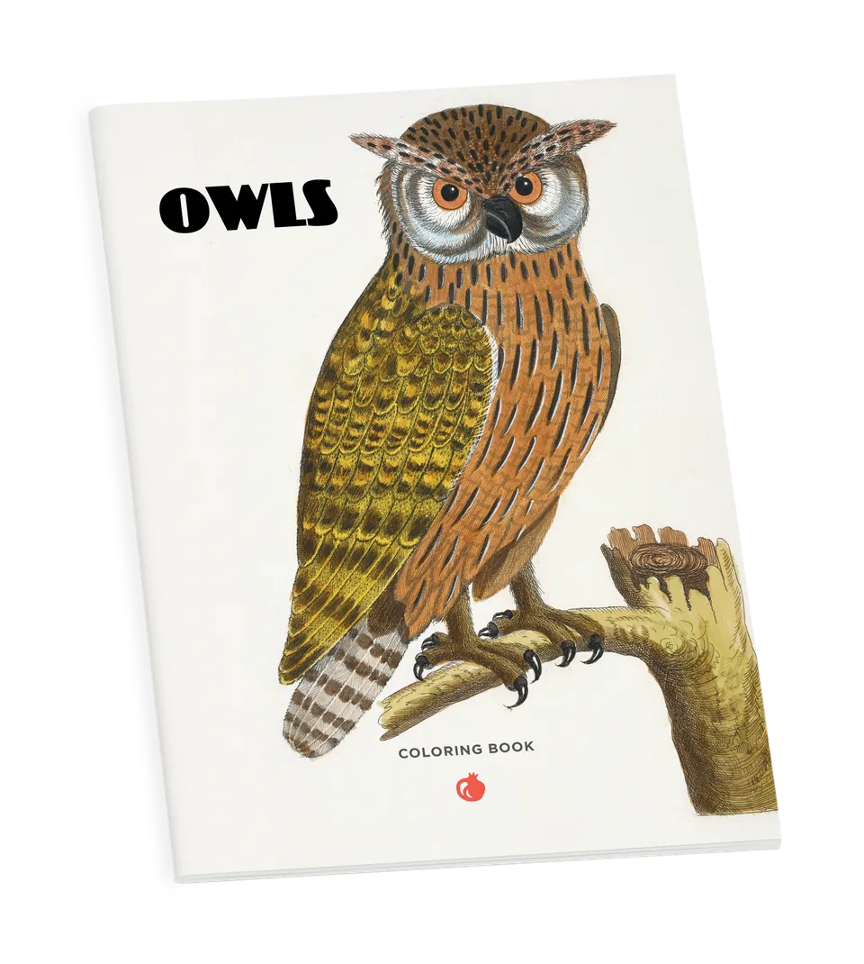 pomegranate-owls-malbuch-eulen-ausmalbuch-v-gel image 1