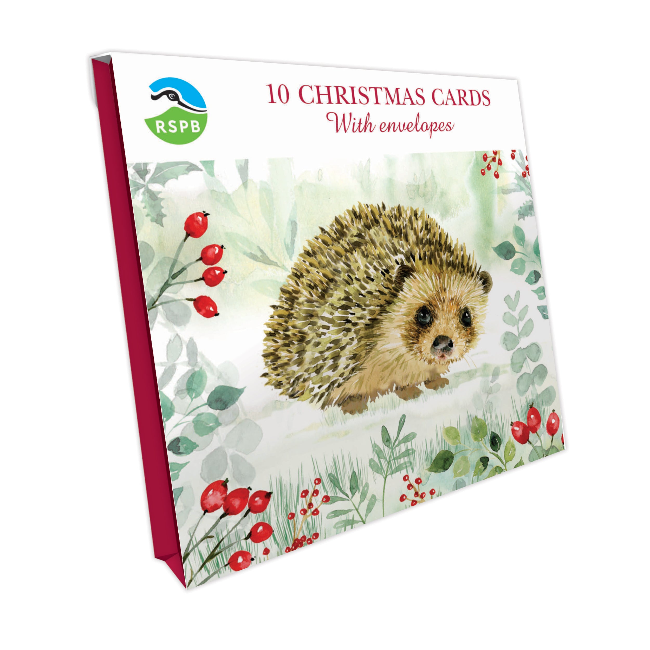 otter-house-hedgehog-berries-weihnachtskarten-10er-pack image 1