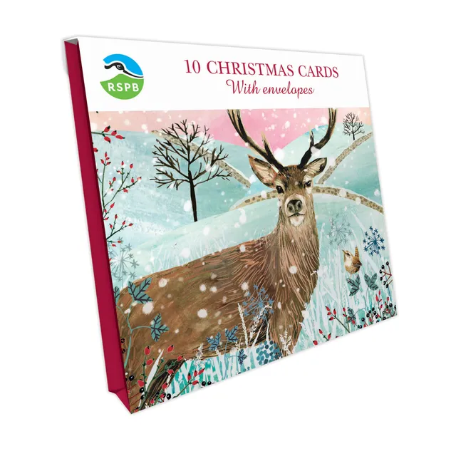 otter-house-winter-stag-rspb-weihnachtskarten-10er-pack image 1