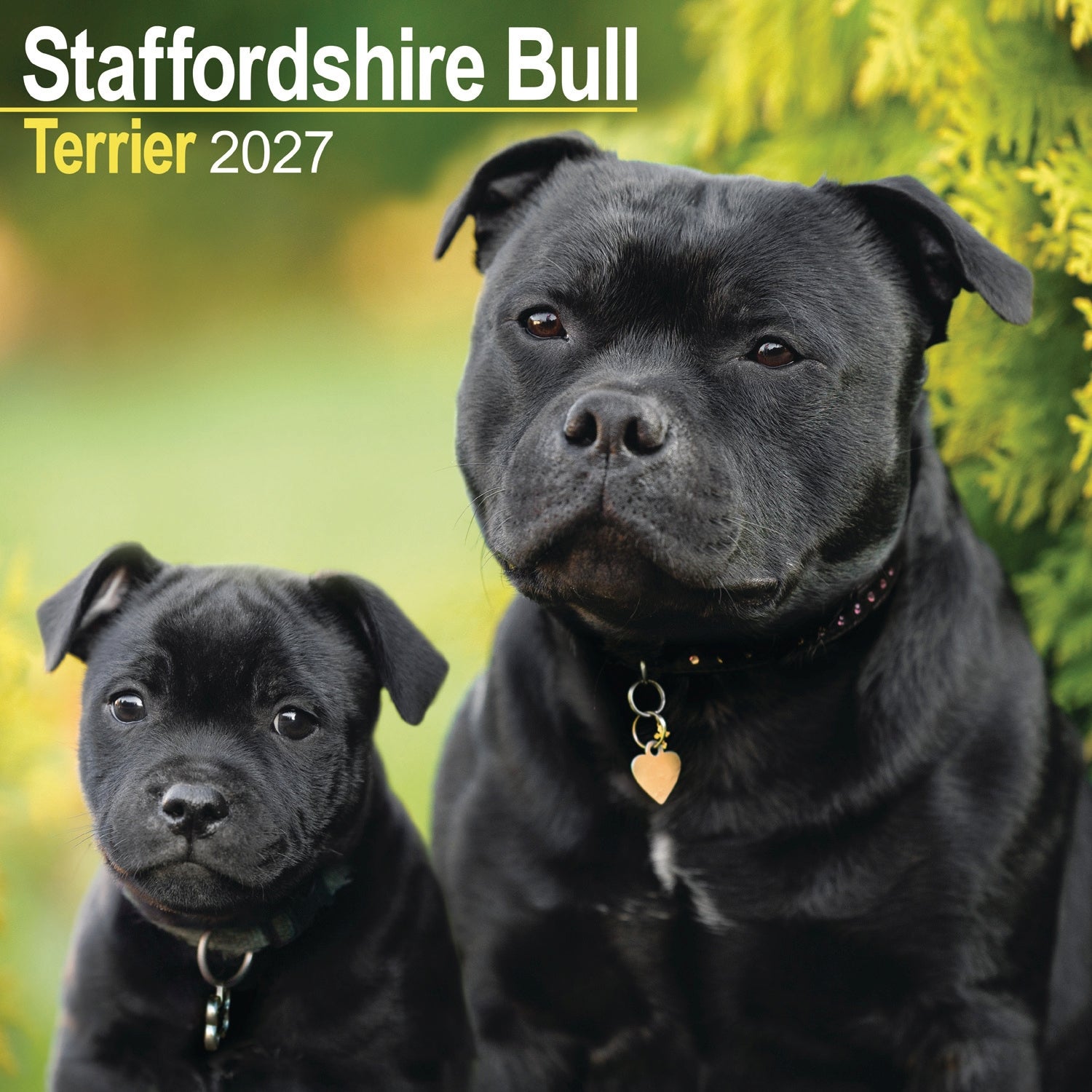 otter-house-staffordshire-bull-terrier-wandkalender-2027-2 image 1