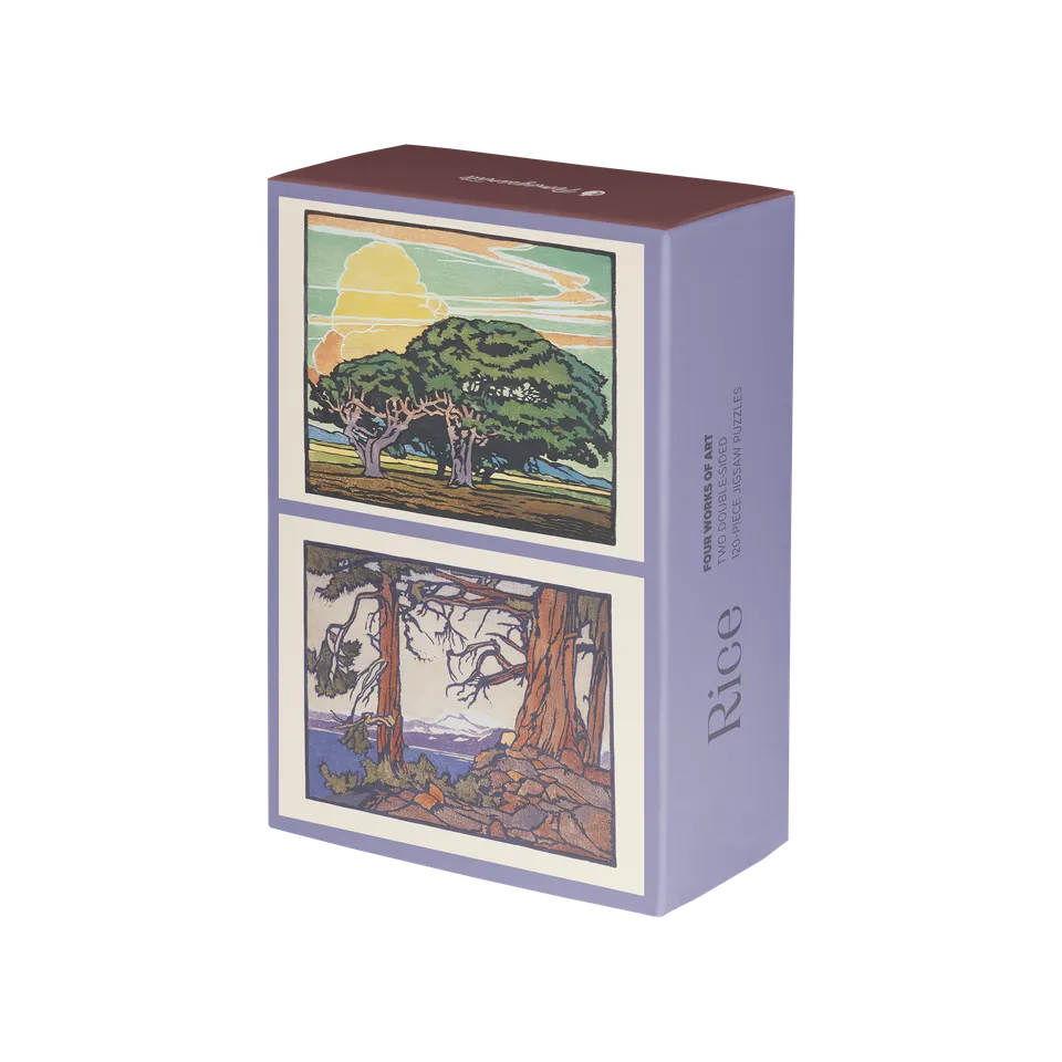 pomegranate-william-s-rice-puzzle-set-120-teile-doppelseitig image 1