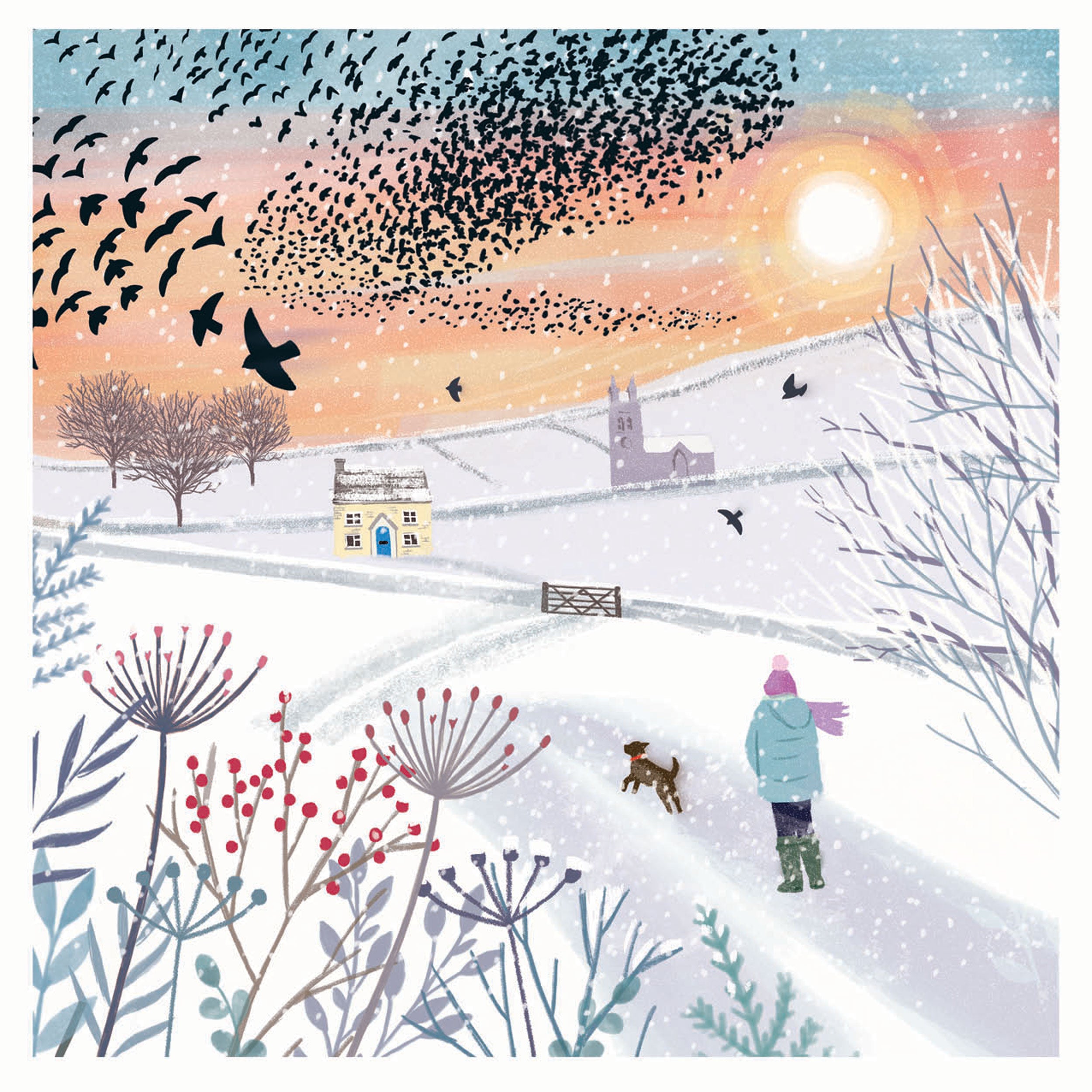 otter-house-rspb-weihnachtskarten-10er-set-murmuration image 1