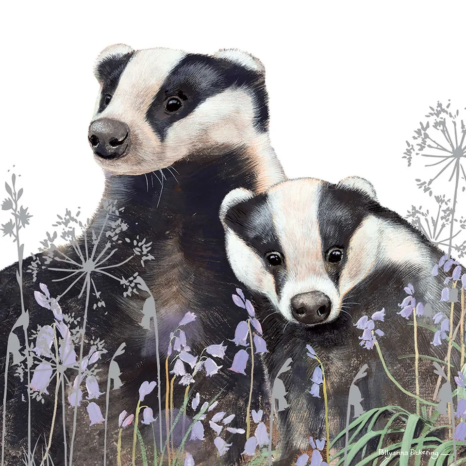 otter-house-pickering-badgers-grusskarte-dachs image 1