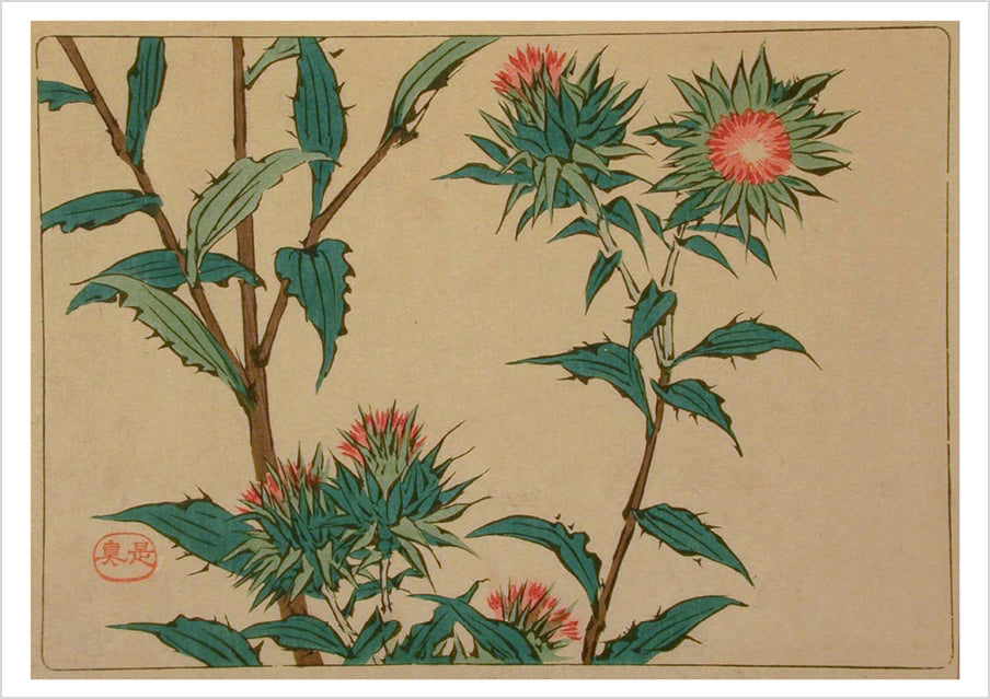 pomegranate-blank-notecards-shibata-zeshin-thistles-klappkarte-einzeln image 1