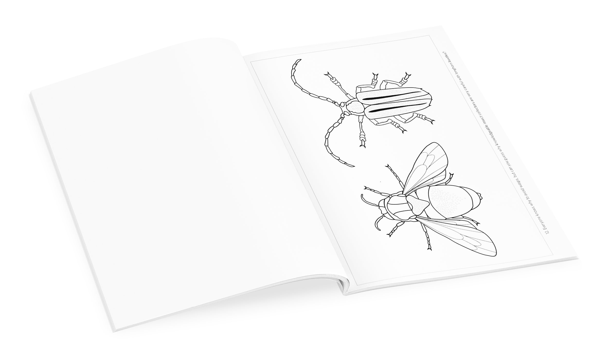 pomegranate-incredible-insects-malbuch-christopher-marley image 3