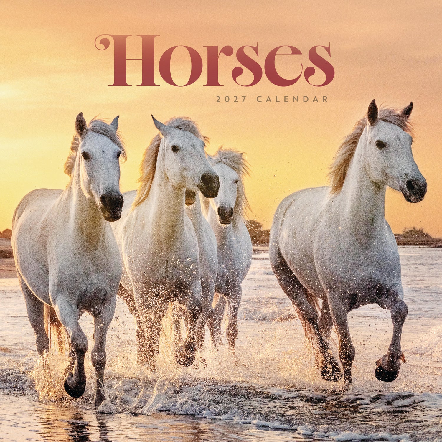 otter-house-horses-wandkalender-2027-pferde-wiro image 1