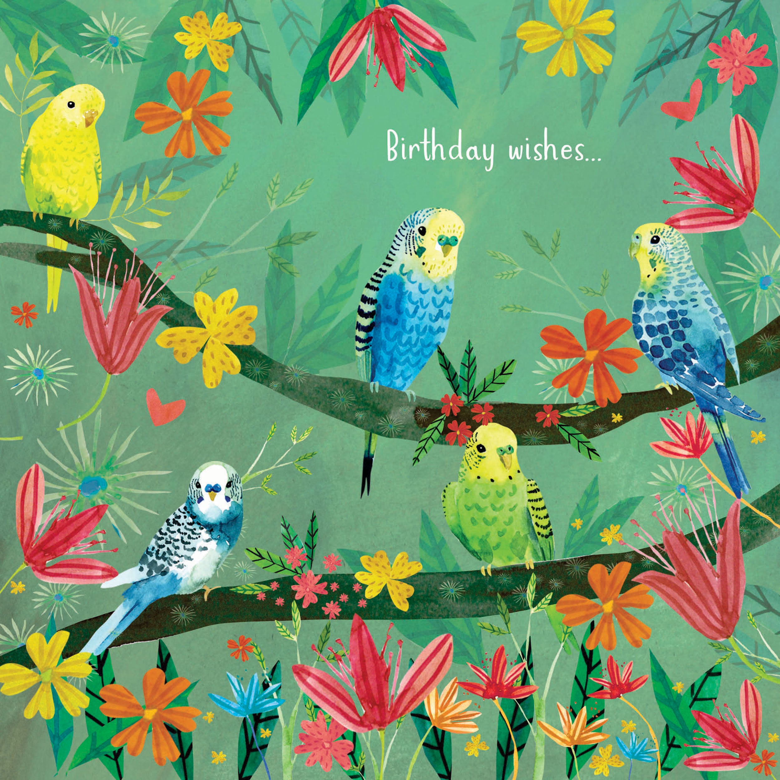 otter-house-fusion-budgies-grusskarte-wellensittiche image 1
