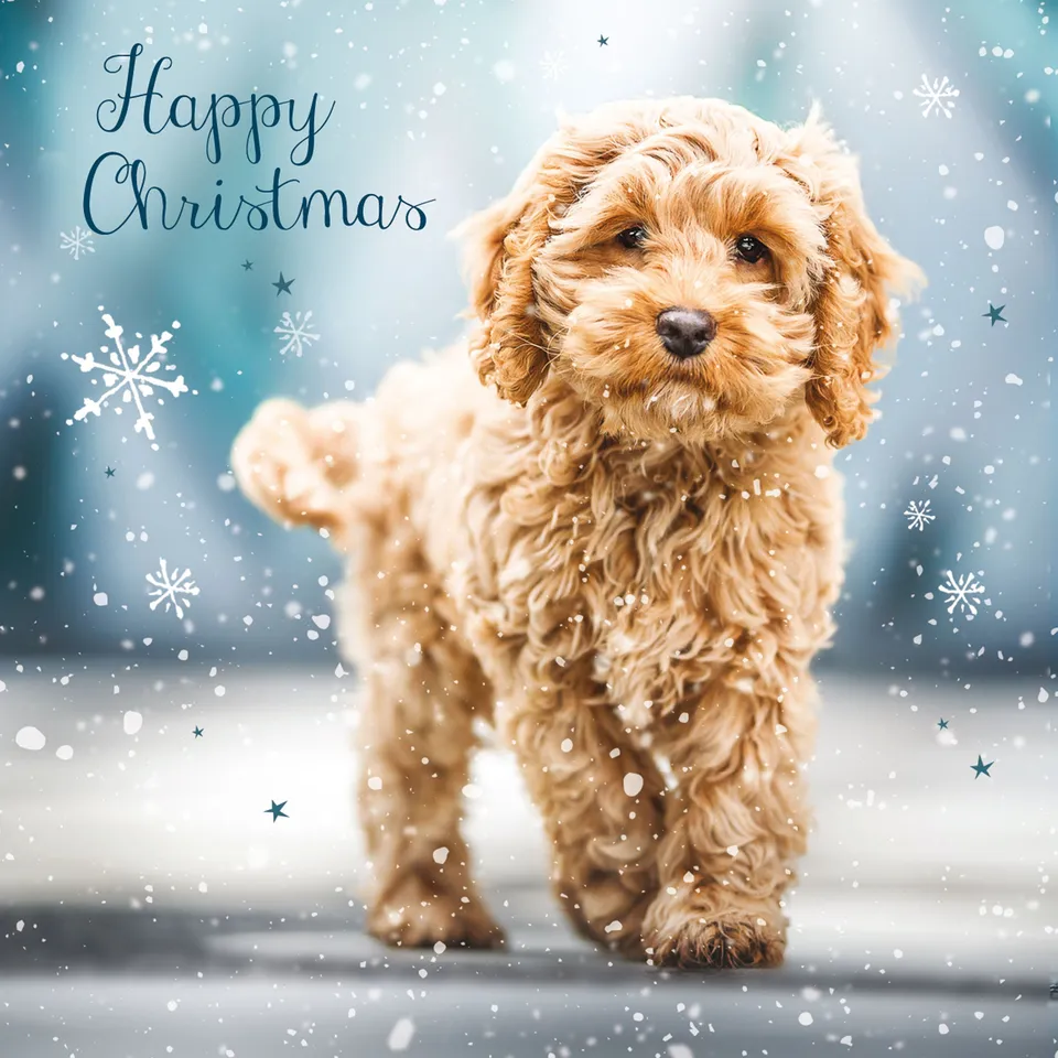 otter-house-puzzle-christmas-pups-weihnachtskarten-set-sortiert image 1