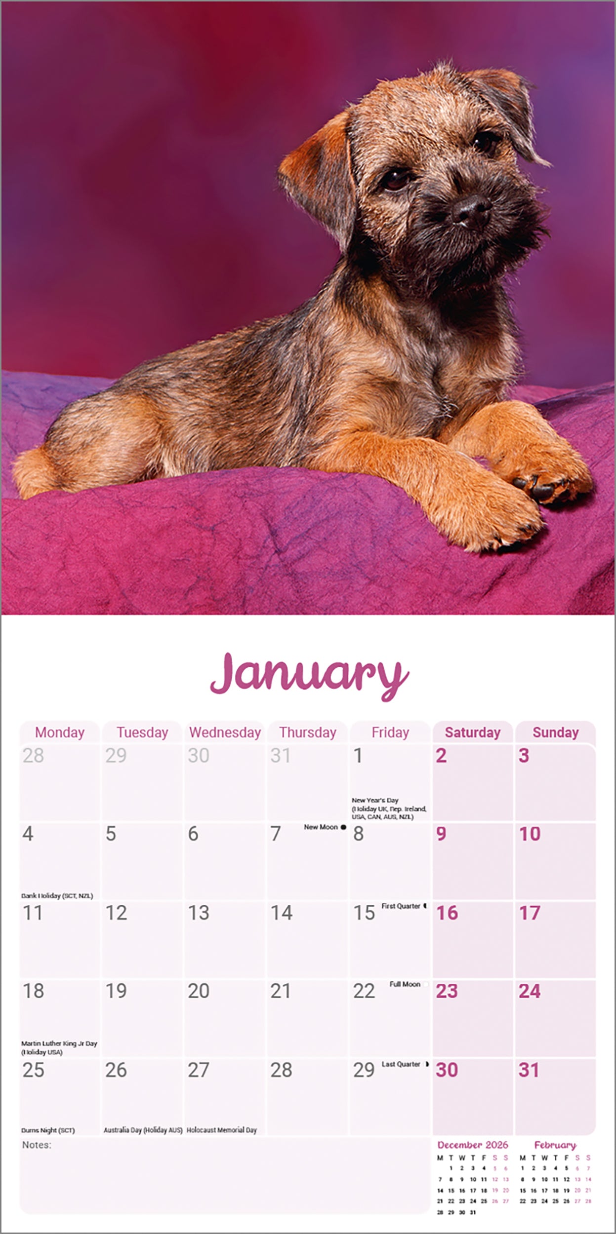 otter-house-border-terrier-puppies-mini-kalender-2027-hunde image 3