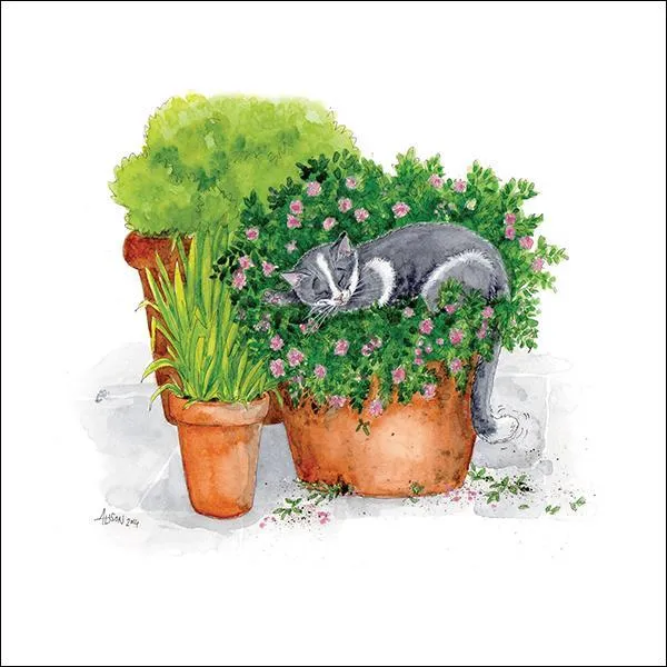 otter-house-snozzle-why-some-plants-fail-to-thrive-gru-karte image 1