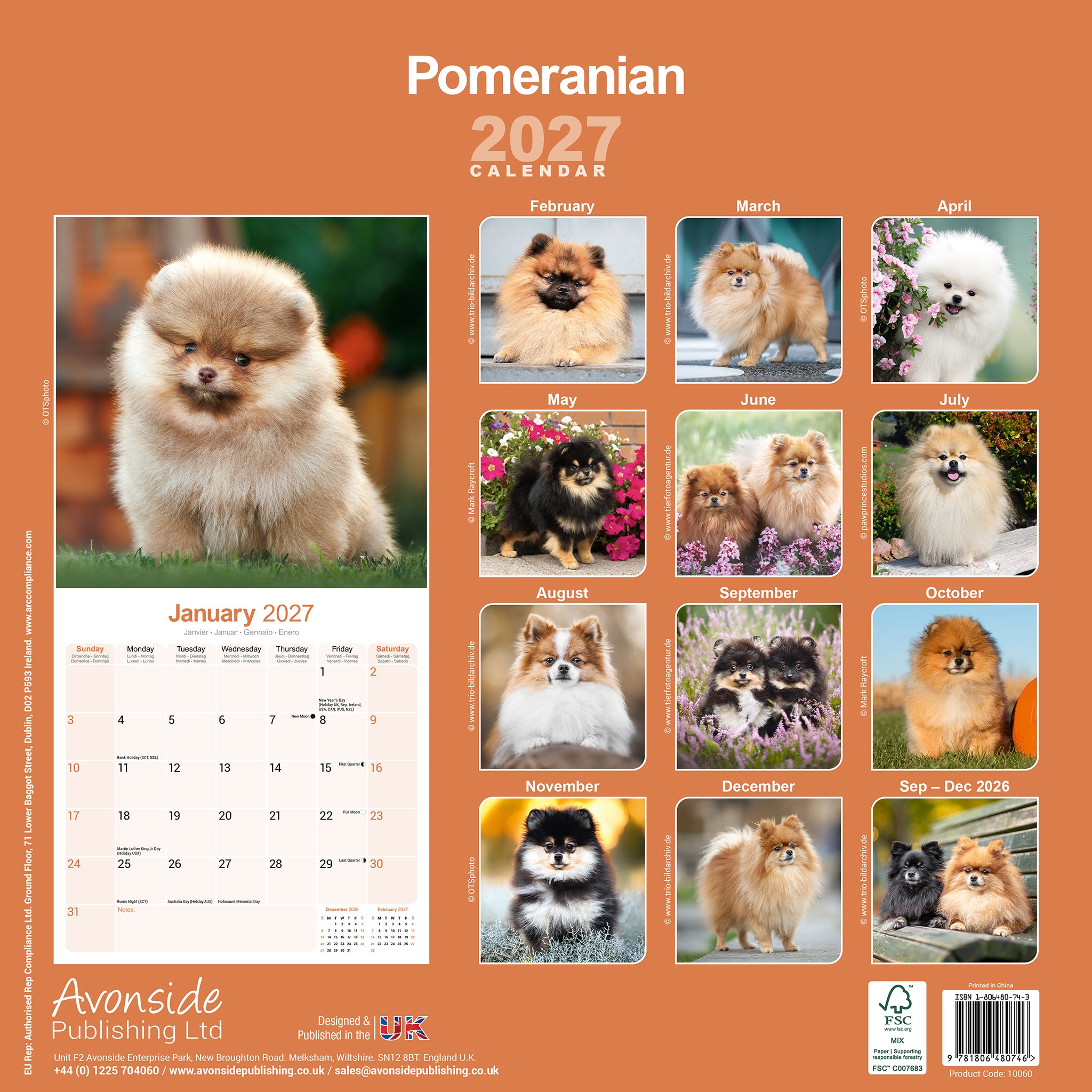 otter-house-pomeranian-wandkalender-2027-hunde image 2