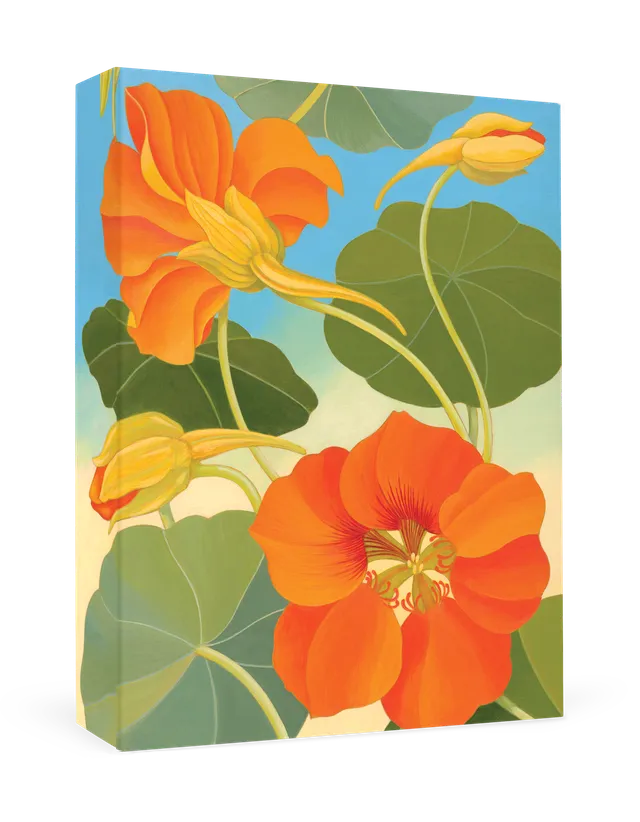 pomegranate-siri-schillios-nasturtium-dankeskarten-box image 1