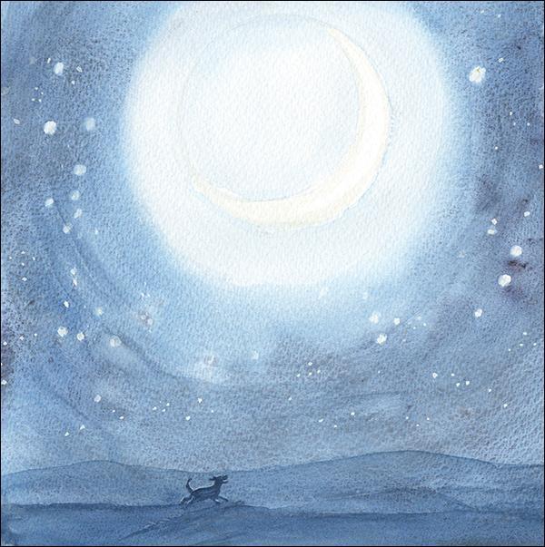 otter-house-snozzle-white-light-trauerkarte-tier-splimple image 1