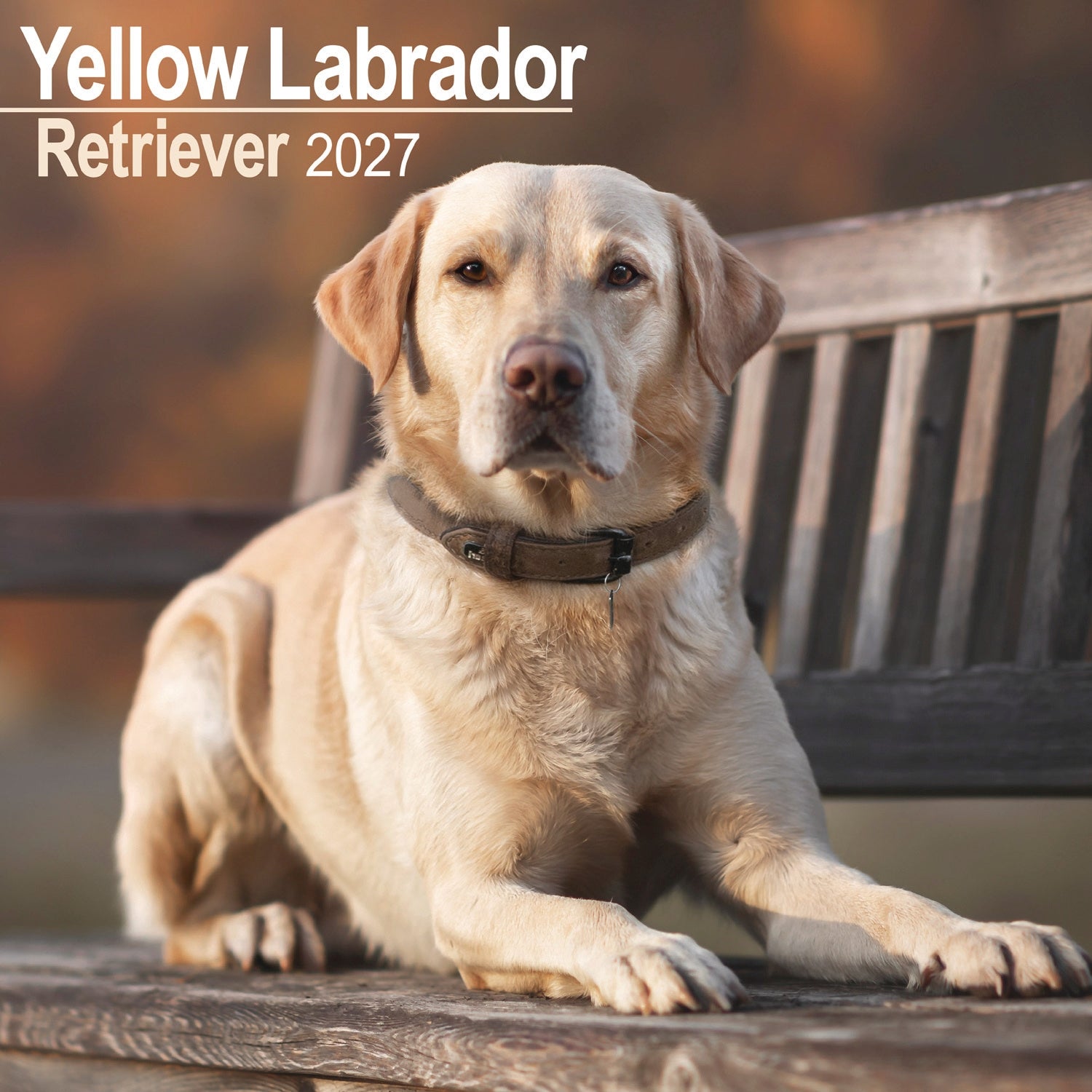 otter-house-labrador-retriever-wandkalender-2027-hund image 1