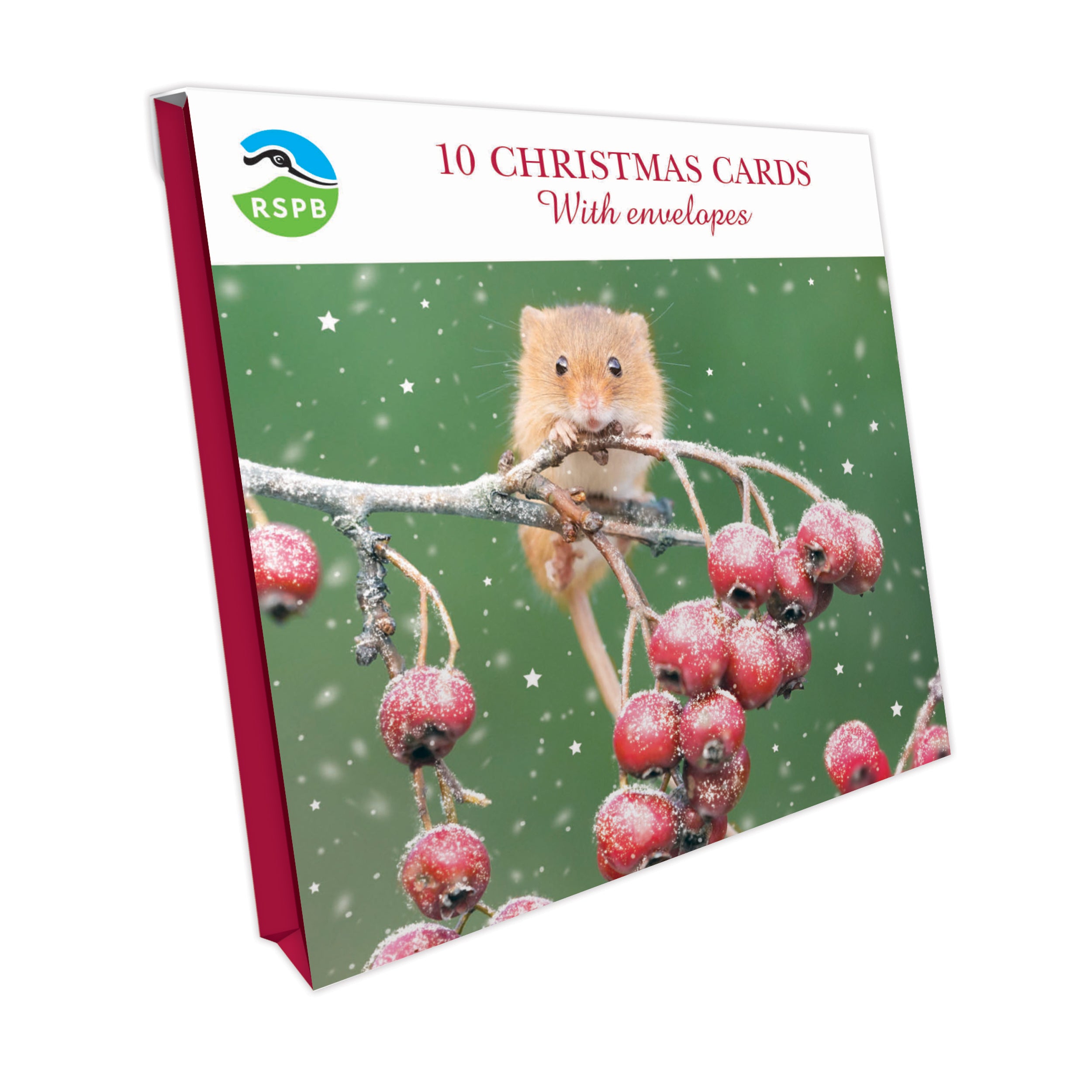 otter-house-christmas-mouse-berries-weihnachtskarten-10er-pack image 1