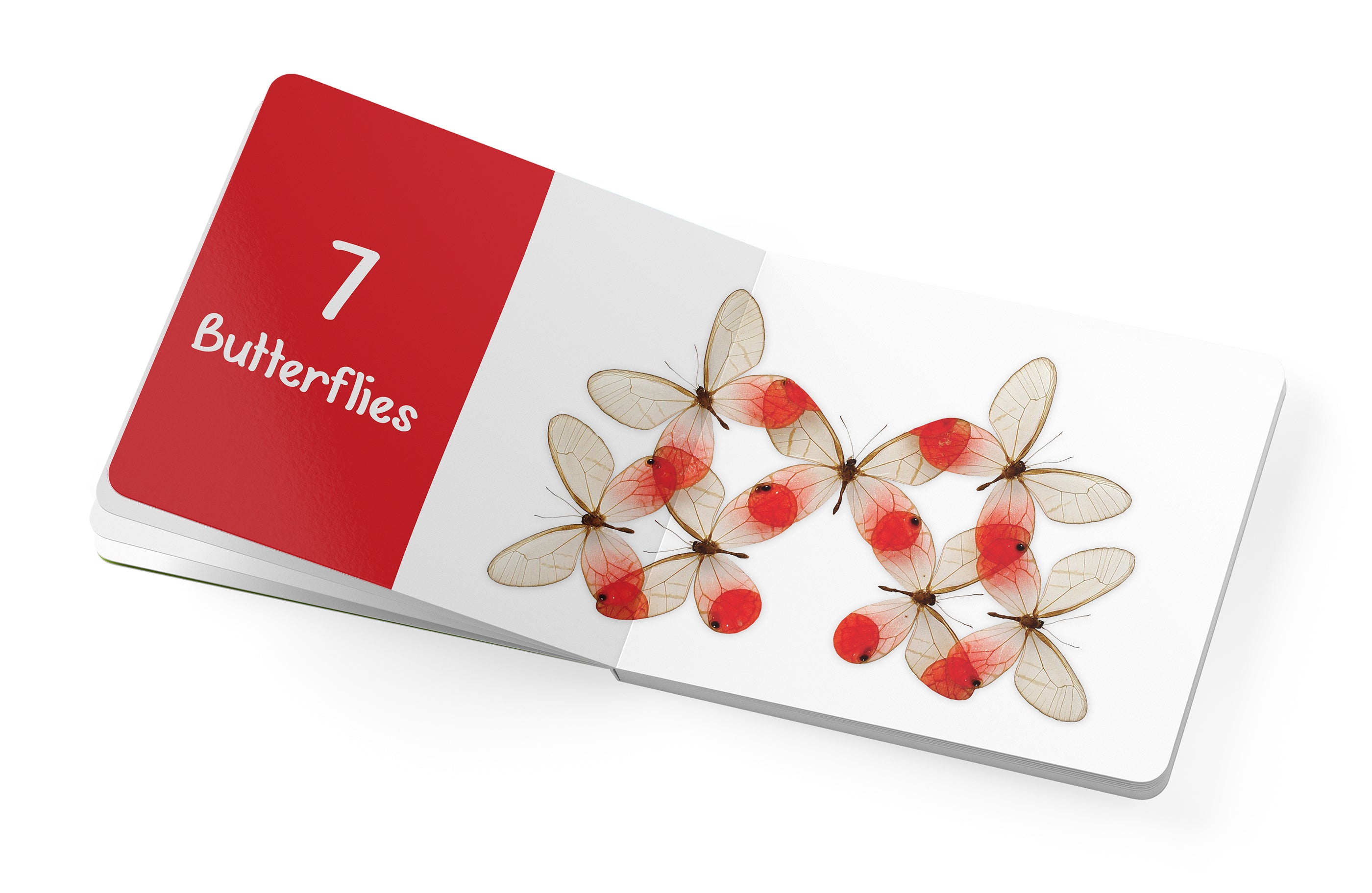 pomegranate-counting-bugs-butterflies-pappbilderbuch-insekten image 4