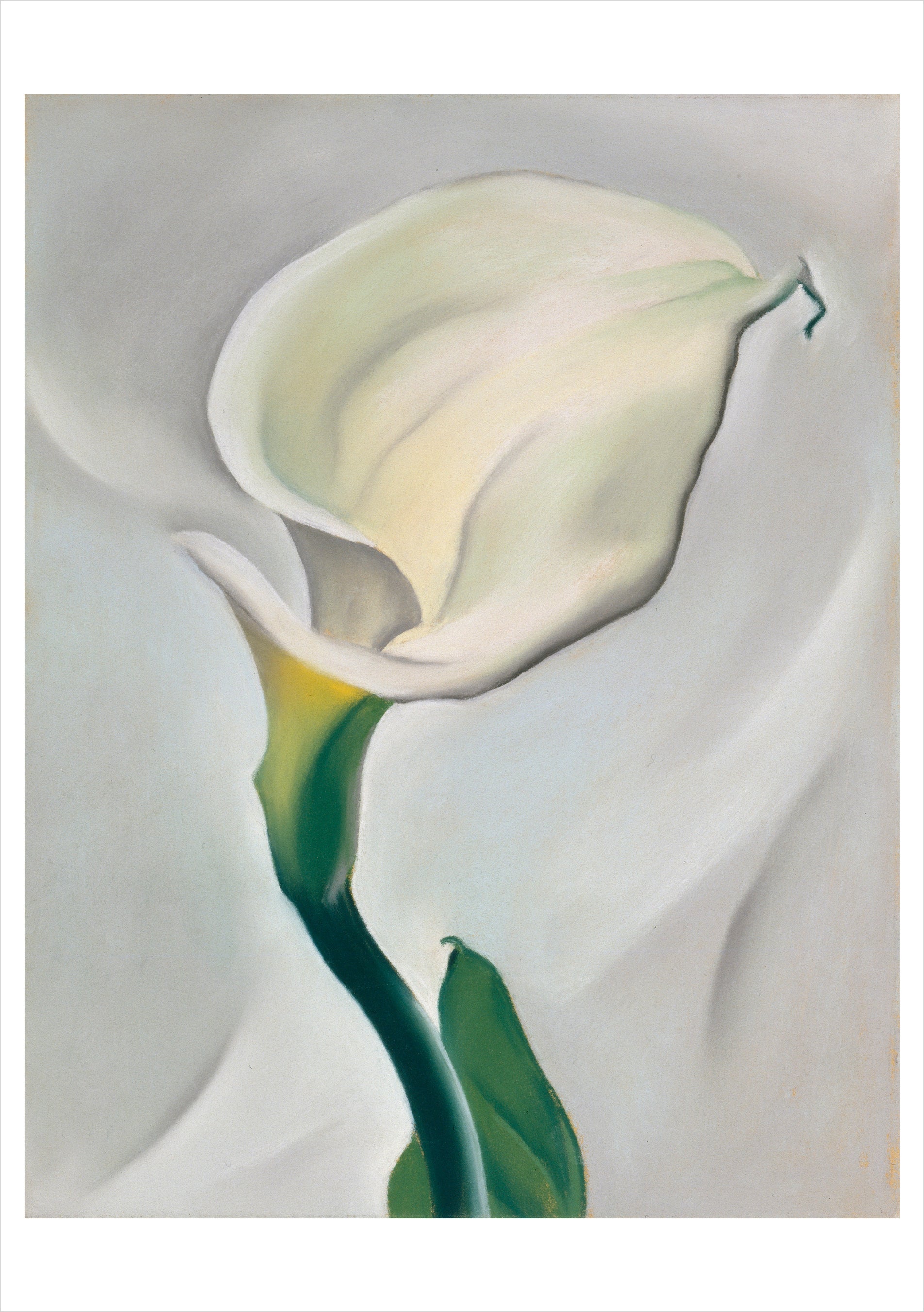 pomegranate-georgia-o-keeffe-blumen-klappkarten-box-20-karten image 3