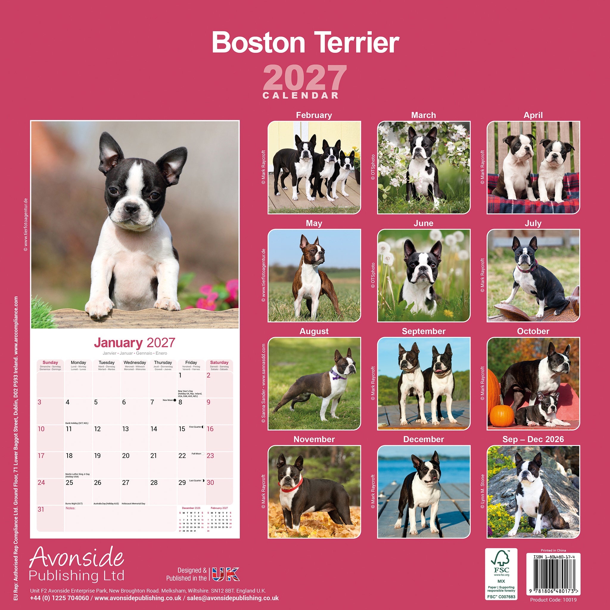 otter-house-boston-terrier-wandkalender-2027-hunde image 2