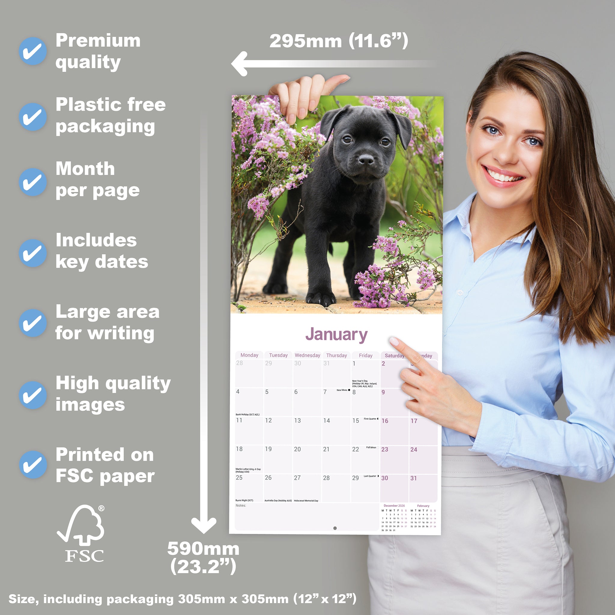 otter-house-staffordshire-bull-terrier-wandkalender-2027 image 4