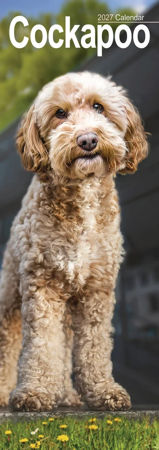 otter-house-cockapoo-slim-kalender-2027-hundekalender image 1