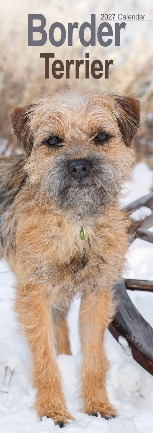 otter-house-border-terrier-slim-kalender-2027-hundemotiv image 1