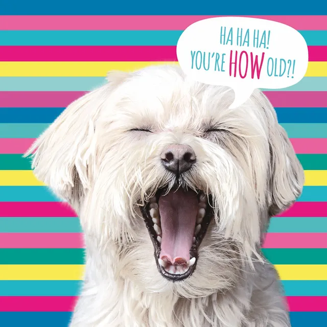 otter-house-pet-pawtrait-stripey-dog-gru-karte-hund-geburtstag image 1
