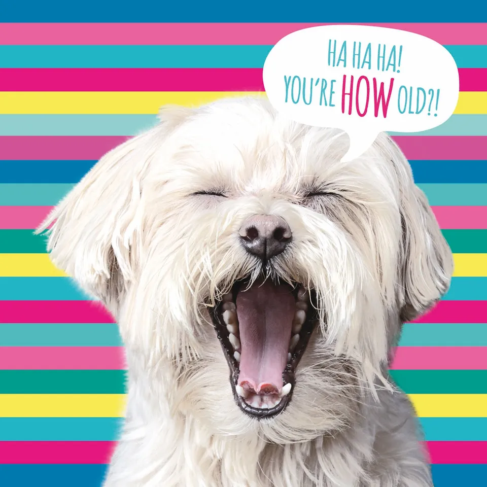 otter-house-pet-pawtrait-stripey-dog-gru-karte-hund-geburtstag image 1