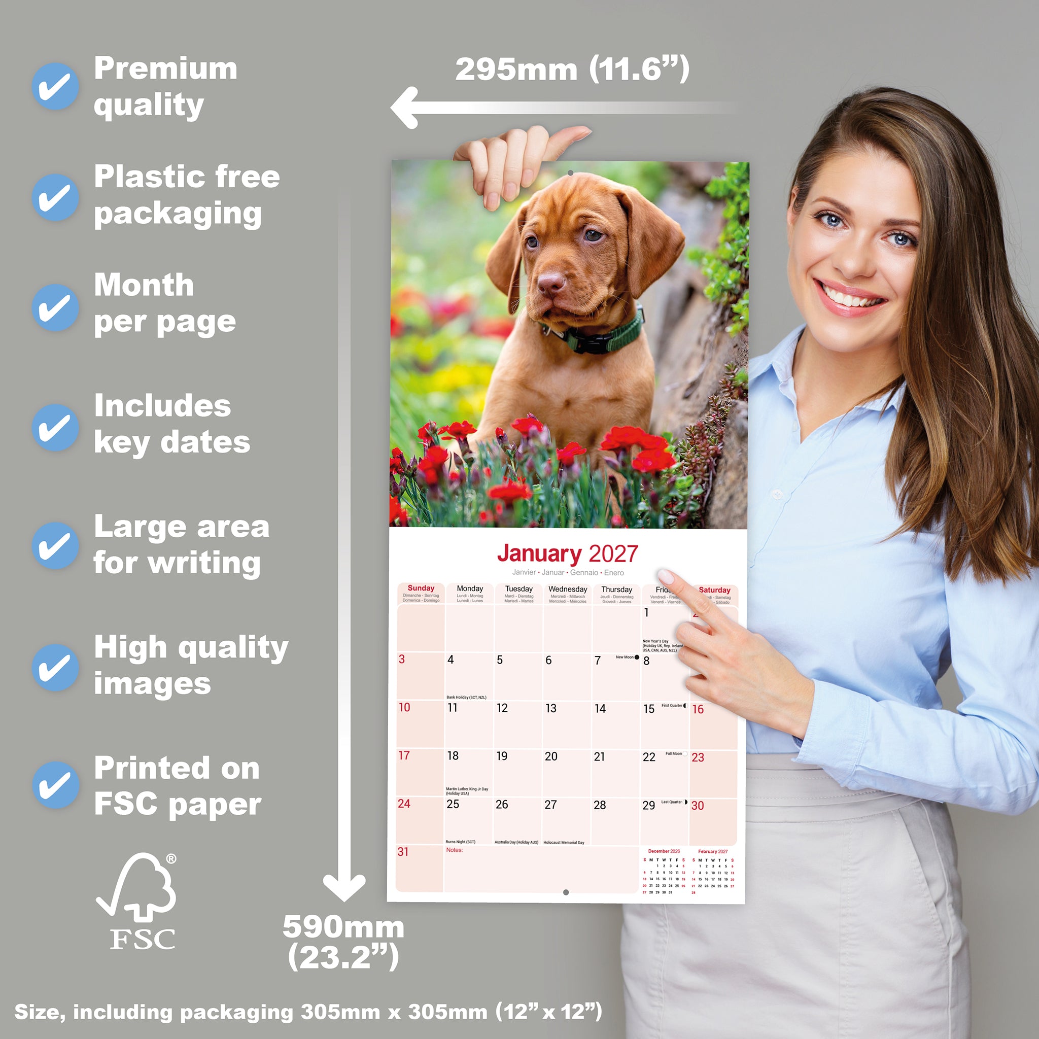otter-house-vizsla-wandkalender-2027-hunde image 4