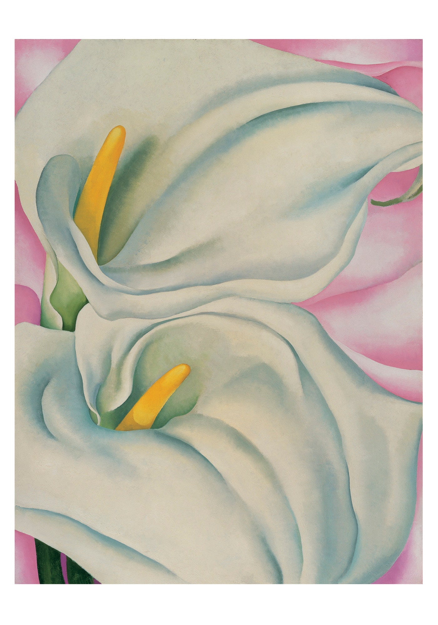 pomegranate-o-keeffe-calla-lilies-kartenbox-12-karten image 2