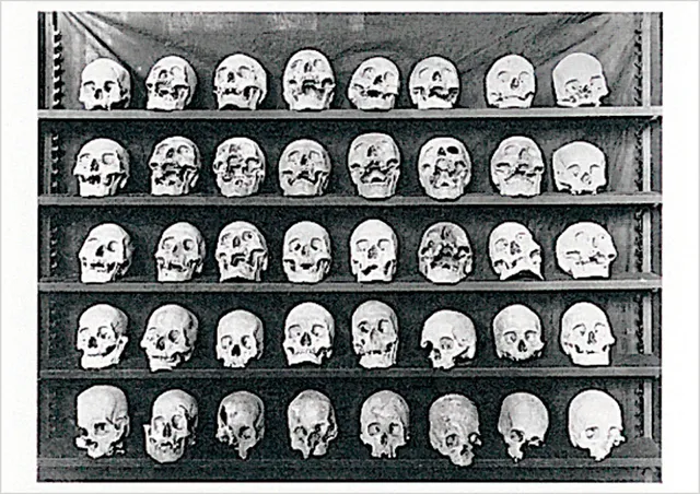 pomegranate-dead-heads-postkarte-humor-einzelkarte image 1