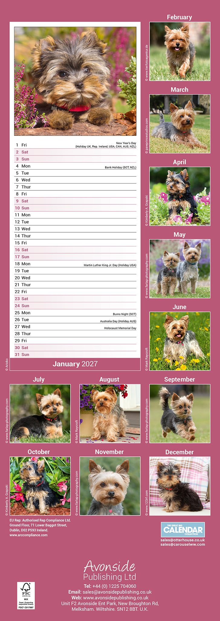 otter-house-yorkshire-terrier-slim-calendar-kalender-2027-hunde image 2