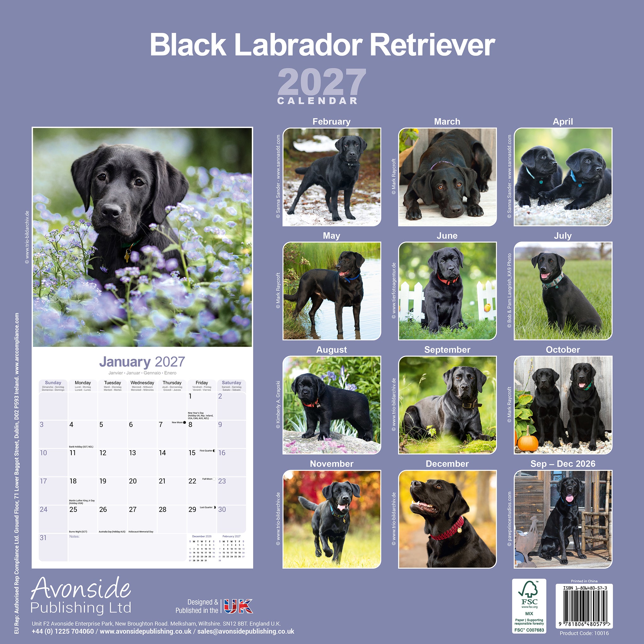 otter-house-labrador-retriever-black-wandkalender-2027-hunde image 2