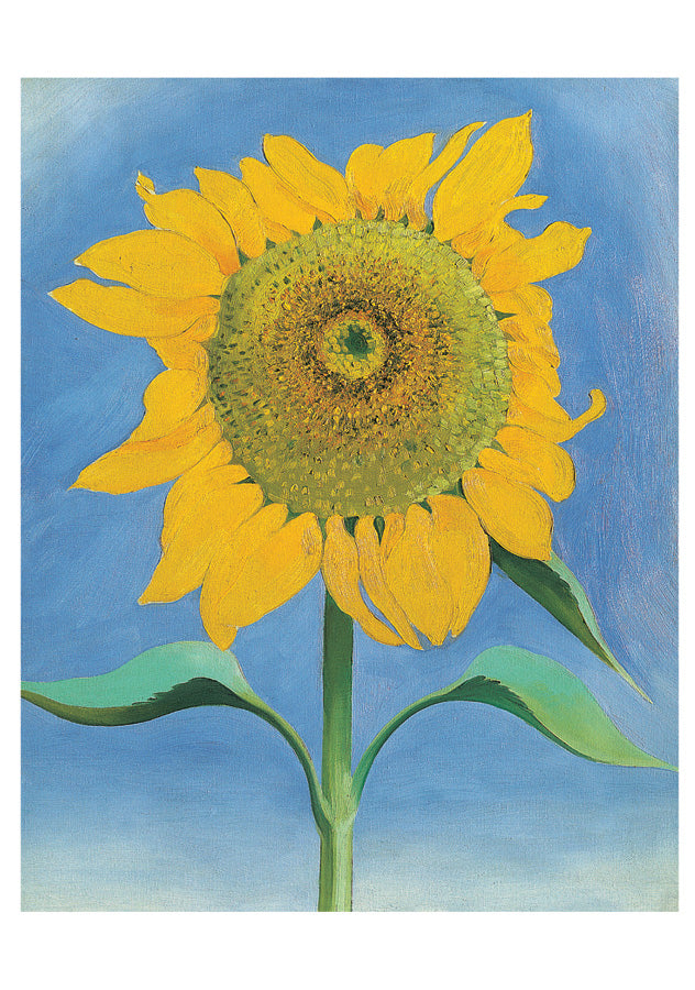 pomegranate-notecards-o-keeffe-sunflowers-gru-karten-folio-10-karten-blumen image 3
