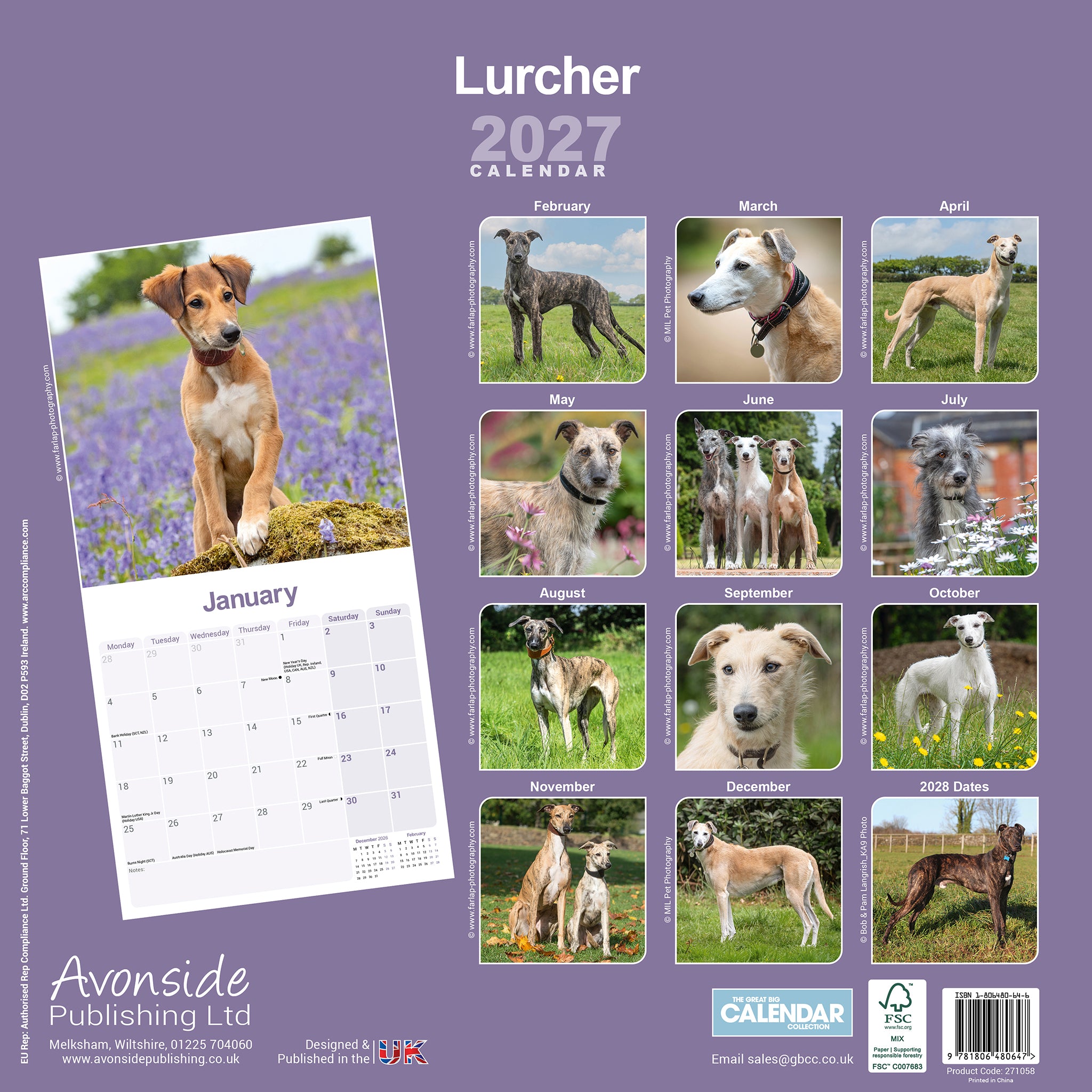 otter-house-lurcher-wall-calendar-2027-wandkalender-hunde image 2